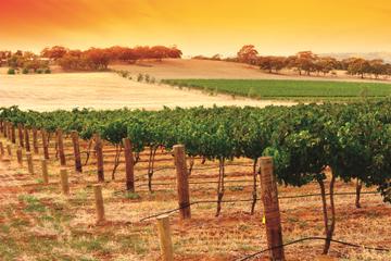 2-Day Barossa Valley and Hahndorf Tour from Adelaide