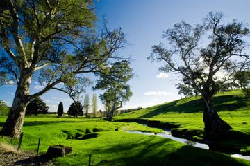 Adelaide Highlights and Hahndorf Tour with Optional River Cruise