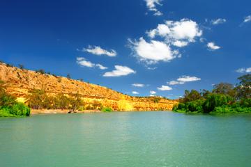 Murray River Riverboat Tour including Lunch from Adelaide