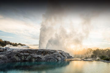 Rotorua Exclusive Luxury Day Tour from Auckland