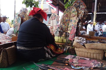 Bali Experience: A day holistic tour with Shaman ( Meditation and Purification )