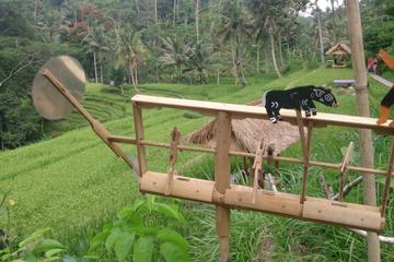 Bali Shore Excursions to  Ubud Country Side