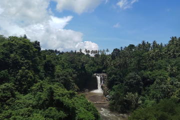 Tegenungan Waterfall, Ubud Monkey Forrest, Art Market, Tegalalang Rice Terrace