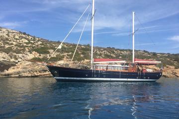 A full day sailing in the Saronic