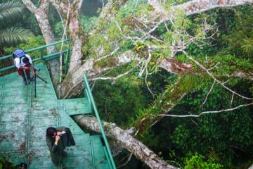 Amazon wildlife and cultural experience