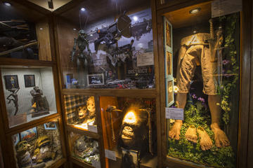 Private Tour: Behind the Scenes Weta Workshop Tour