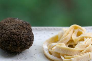Mountain Hike With Truffle Hunting Demonstration