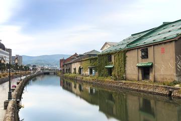 Private Sapporo and Otaru Sightseeing with Licensed Guide