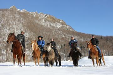 Sapporo Horseback-Riding Tour