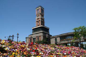 Sapporo Private Full-Day Tour with Local Guide