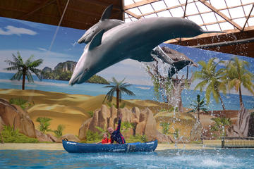 Boudewijn Seapark and Dolfinarium Entrance Ticket