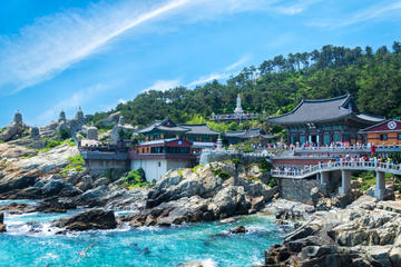 Best of Busan With Yonggungsa Temple, Yongdusan Park and Dongbaek Island