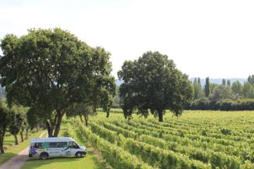 Sussex Vineyard & Cheese-maker Bus Tour