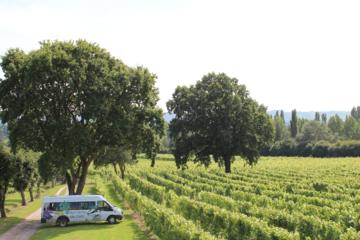Sussex Vineyard & Winery Bus Tour