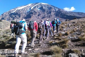 7 Day Ultimate Kilimanjaro Climbing - Machame Route