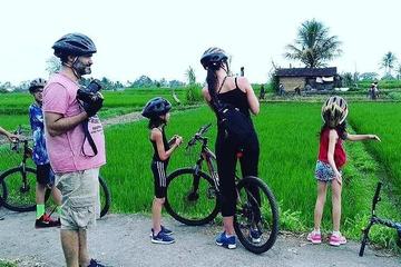 Cycling Experience Taro - Ubud