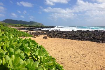 Your Private Circle Island Tours