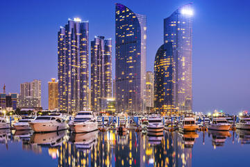 Busan by Night