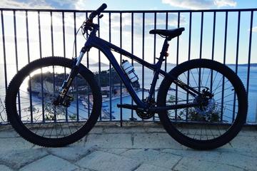 Panoramic Bike Tour of Naples