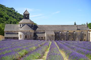 Luberon Experience : Private Chauffeur