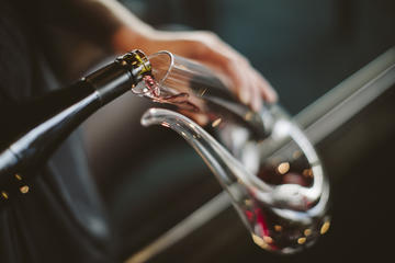 Private Moorilla Estate Tour Including Cellar Door Tasting of Vintage Wines