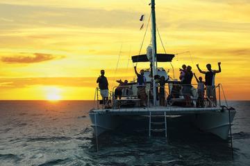 Sunset And city light tour on a forty foot catamaran, Snorkel tours daily