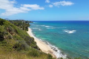Oahu Duck Tour: Waikiki, Diamond Head and Sea