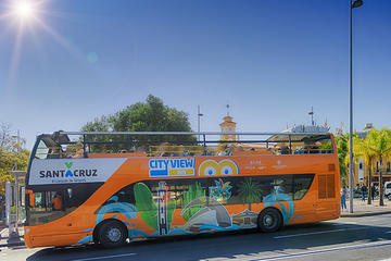Santa Cruz de Tenerife Bus + Train Hop On Hop Off Pass