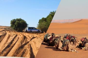 Oasis Aït Mansour & Tafraout from Agadir