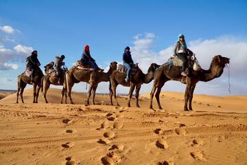3 Days Marrakesh to Zagora and Erg Chigaga Desert
