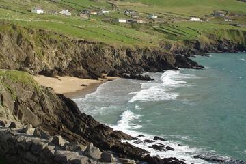 Dingle Peninsula Private Tour from Killarney, Kenmare or Sneem