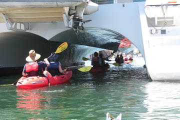 Kayak Rental