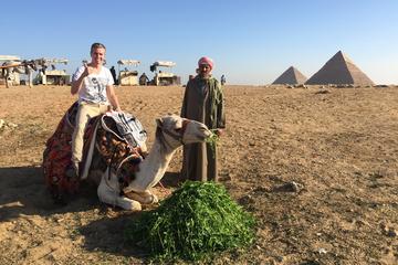 Private Day tour with Guide to Giza Pyramids, Saqqara, and Memphis from Cairo