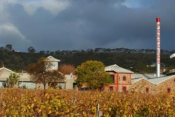 Penfolds Magill Estate Iconic Experience