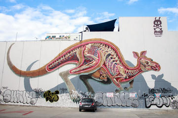 Alternative culture & street art - Private Tour
