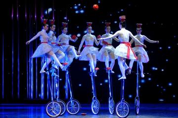 Beijing Evening Tour Of Acrobatics Show With Private Transfer
