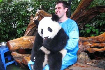 Private 2 Day Chengdu Tour: Panda Base And Giant Buddha