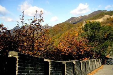 Private Beijing Airport Layover Tour With Mutianyu Great Wall Including Lunch