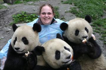 Private Day Tour: Chengdu Panda Base