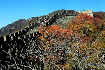 Private Day Tour Of Beijing : Mutianyu Great Wall And Summer Palace