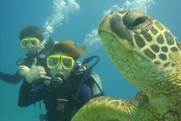 Scuba Diving Tours