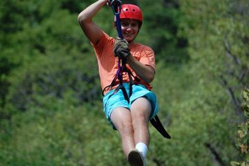 Zip lining in Tamarindo Area