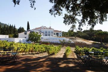 Wine Lover's Escape