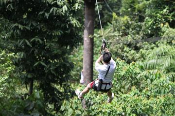 Skytrex Adventure Park Experience in Melaka