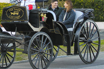Charleston's Private Old South Carriage Evening Tour