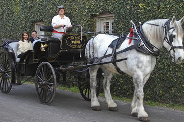 Charleston's Private Old South Carriage Tour