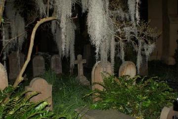 Old South Haunted Carriage Tour of Charleston