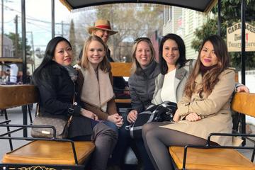Private Wagonette 1 Hour Horse and Carriage Residential Tour