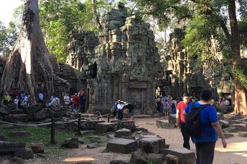 7Days Cambodia Discovery Only Car & Driver