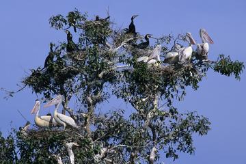 Countryside & Bird sanctuary Bike Tour